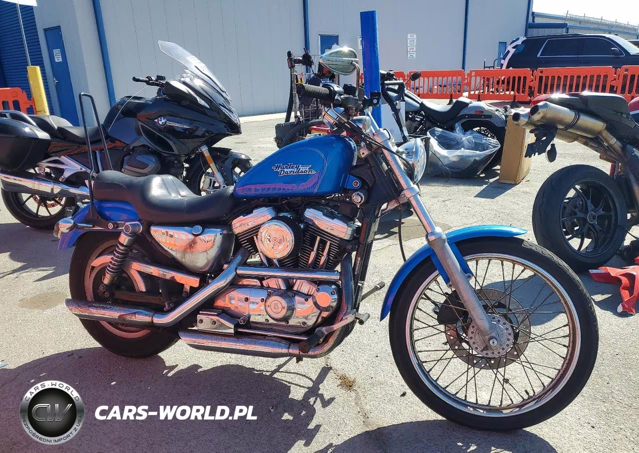 2002 Harley-Davidson Xl1200 C
