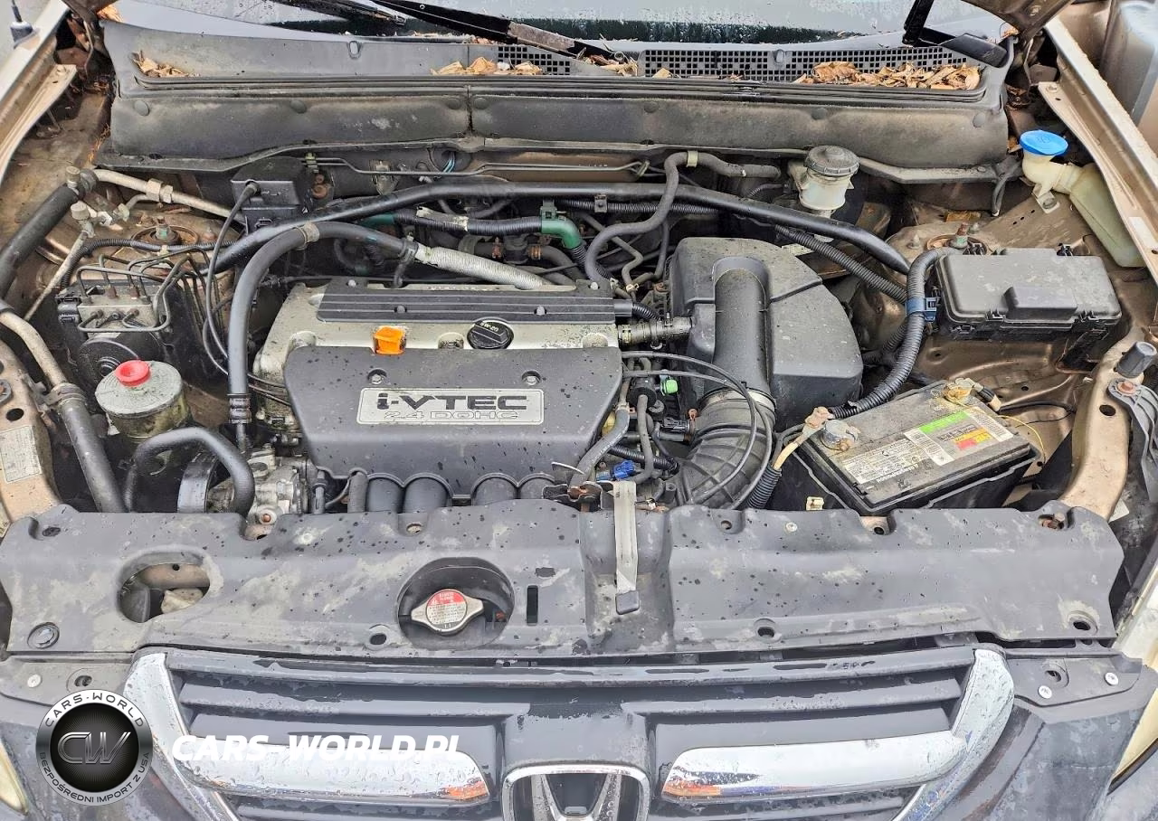 2004 Honda Cr-V Ex VIN:SHSRD78894U241635 - 12