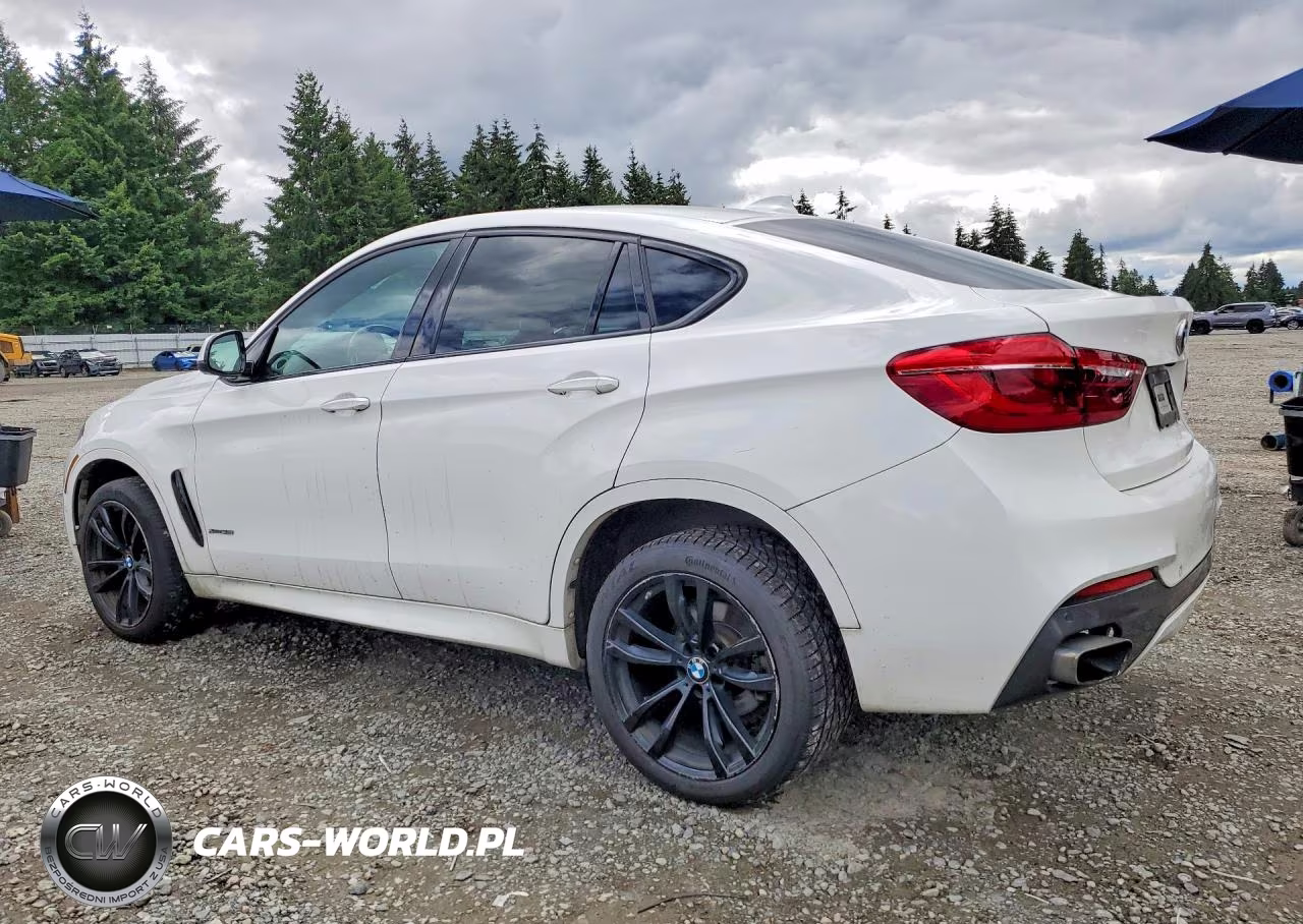 2018 BMW X6 xDrive35I VIN:5UXKU2C59J0Z62099 - 2