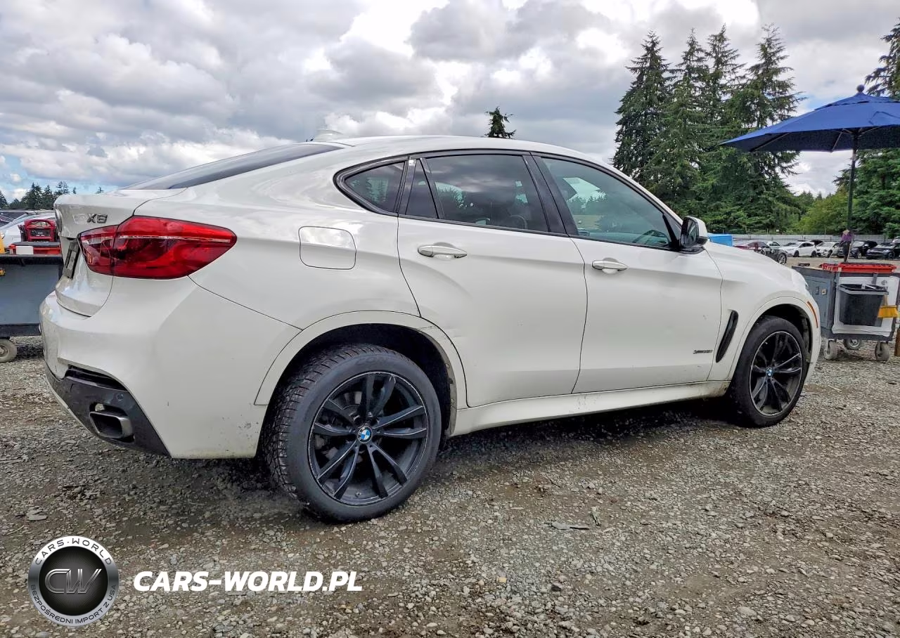2018 BMW X6 xDrive35I VIN:5UXKU2C59J0Z62099 - 3