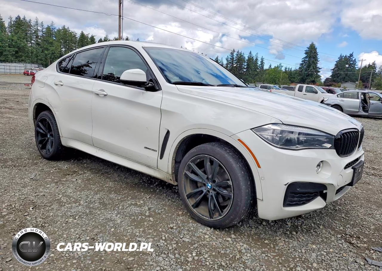 2018 BMW X6 xDrive35I VIN:5UXKU2C59J0Z62099 - 4