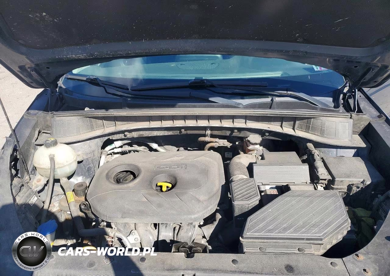 2019 Hyundai Tucson Se VIN:KM8J2CA40KU079064 - 12