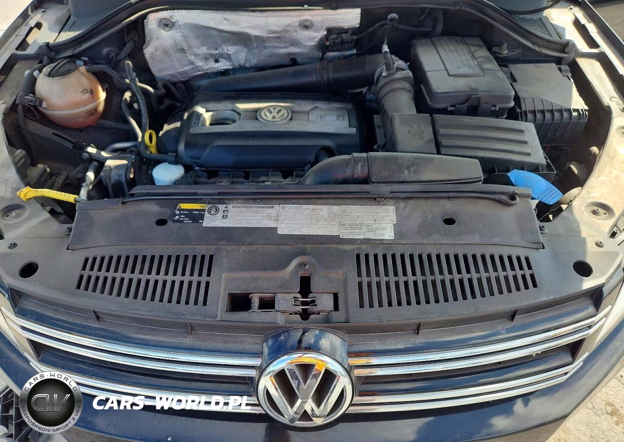 2014 Volkswagen Tiguan S VIN:WVGBV3AX0EW534591 - 12