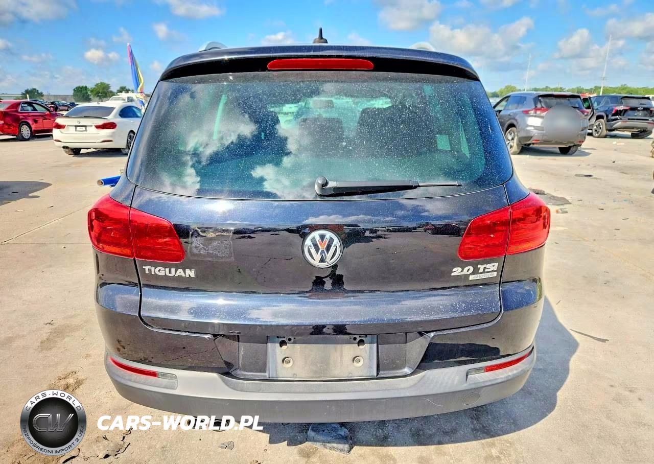2014 Volkswagen Tiguan S VIN:WVGBV3AX0EW534591 - 6