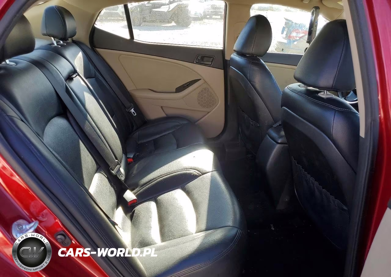 2015 Kia Optima Lx VIN:5XXGM4A7XFG485423 - 10
