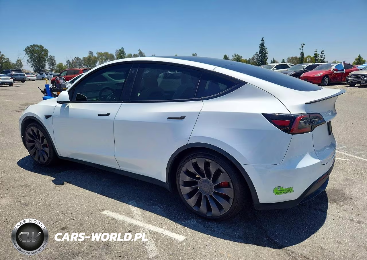 2023 Tesla Model Y VIN:7SAYGDEFXPF631677 - 2