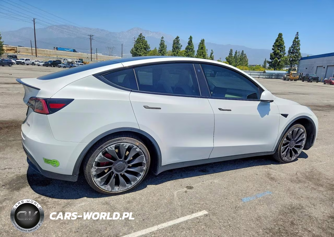 2023 Tesla Model Y VIN:7SAYGDEFXPF631677 - 3