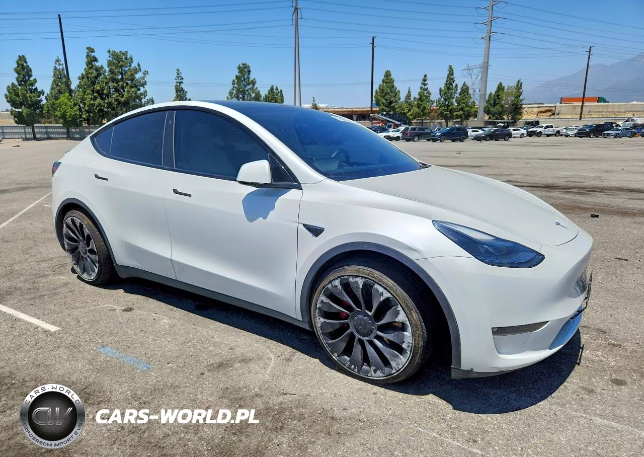2023 Tesla Model Y VIN:7SAYGDEFXPF631677 - 4