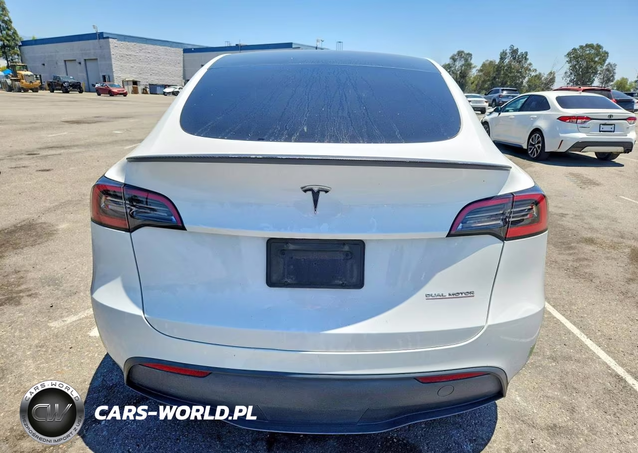 2023 Tesla Model Y VIN:7SAYGDEFXPF631677 - 6