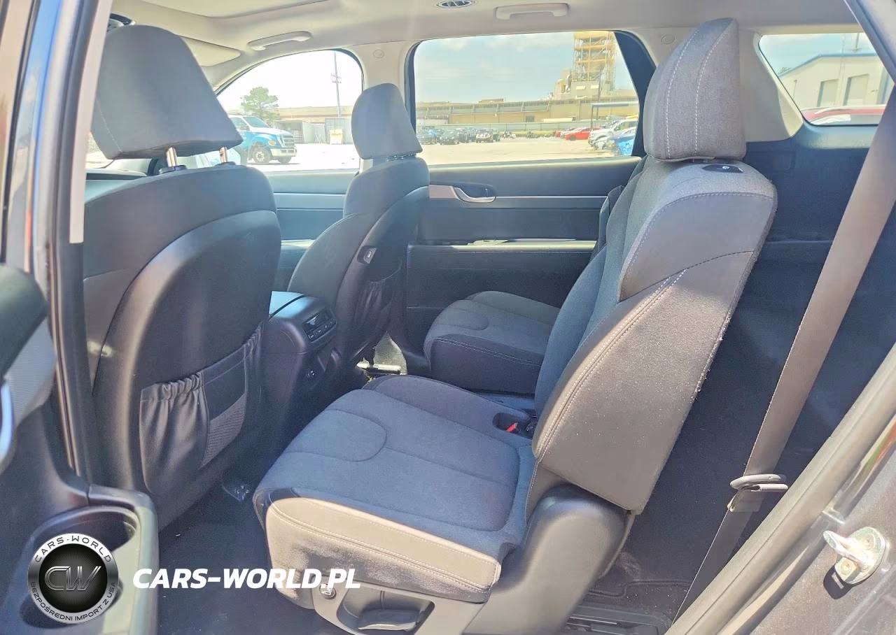 2020 Hyundai Palisade Sel VIN:KM8R2DHEXLU069389 - 11
