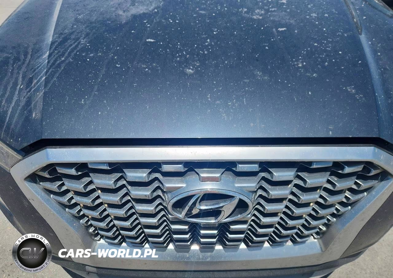 2020 Hyundai Palisade Sel VIN:KM8R2DHEXLU069389 - 12