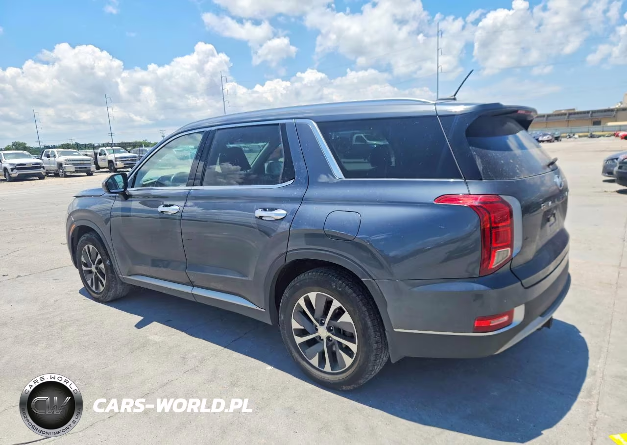 2020 Hyundai Palisade Sel VIN:KM8R2DHEXLU069389 - 2