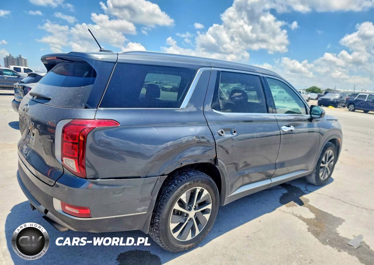 2020 Hyundai Palisade Sel VIN:KM8R2DHEXLU069389 - 3