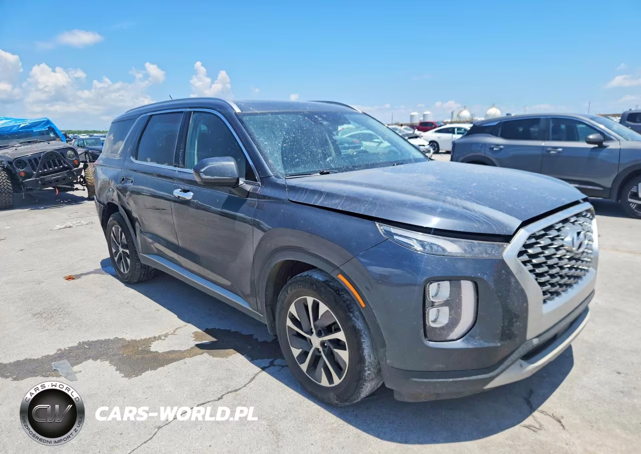 2020 Hyundai Palisade Sel VIN:KM8R2DHEXLU069389 - 4