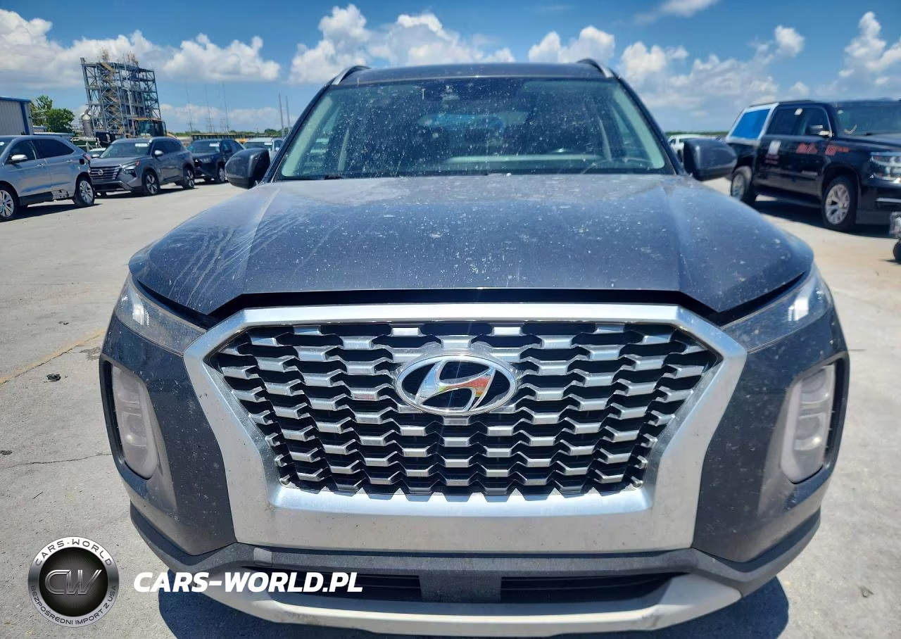 2020 Hyundai Palisade Sel VIN:KM8R2DHEXLU069389 - 5