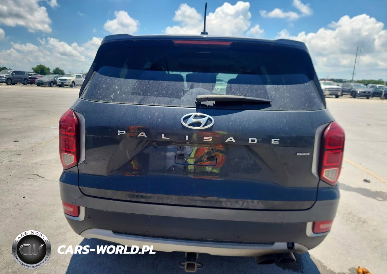 2020 Hyundai Palisade Sel VIN:KM8R2DHEXLU069389 - 6