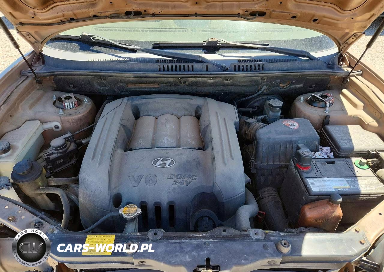 2004 Hyundai Santa Fe Gls VIN:KM8SC73DX4U728314 - 11