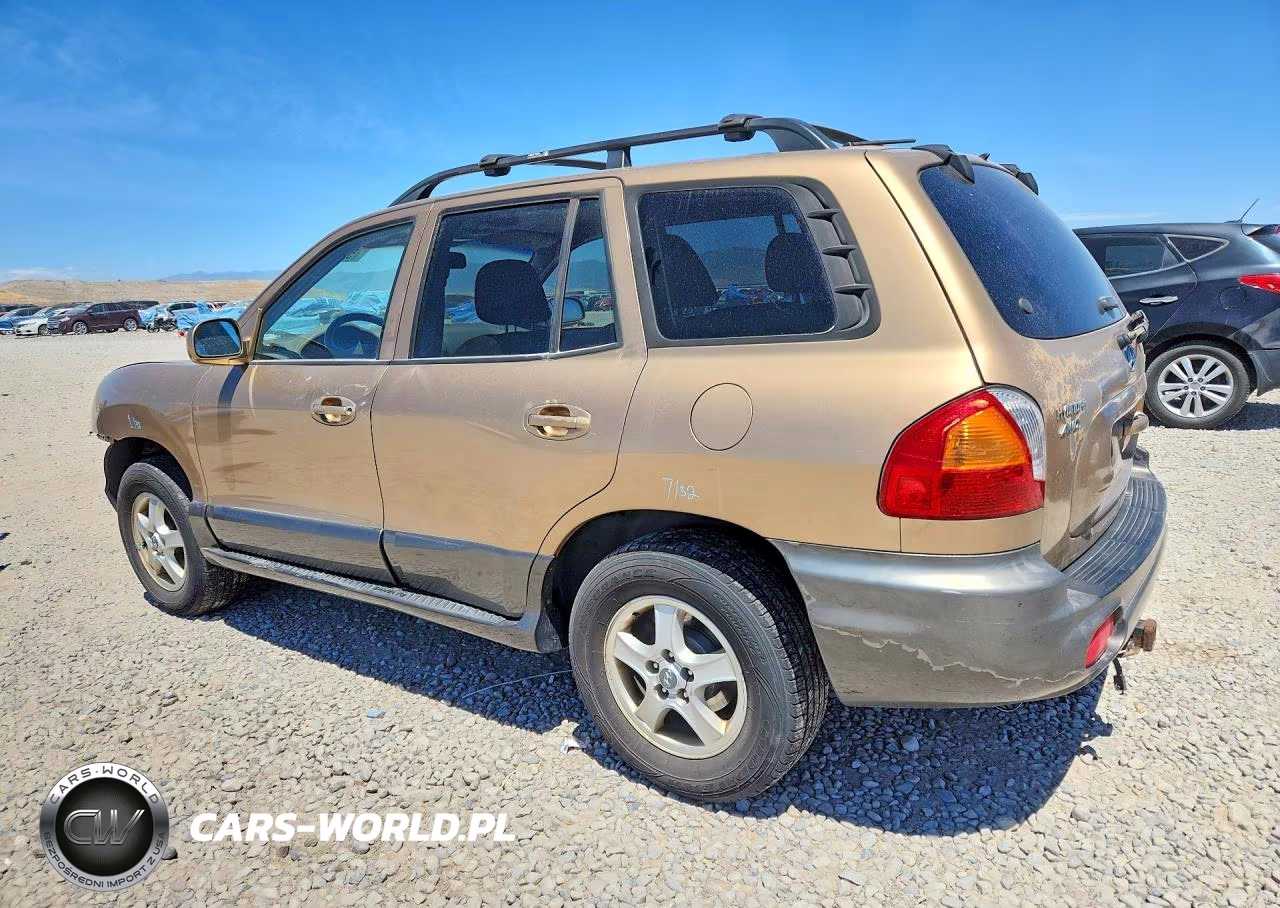 2004 Hyundai Santa Fe Gls VIN:KM8SC73DX4U728314 - 2