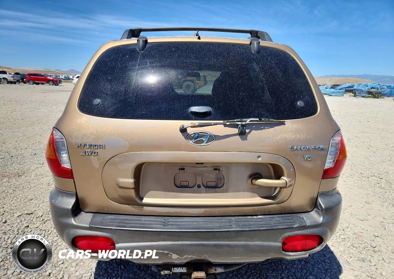 2004 Hyundai Santa Fe Gls VIN:KM8SC73DX4U728314 - 6