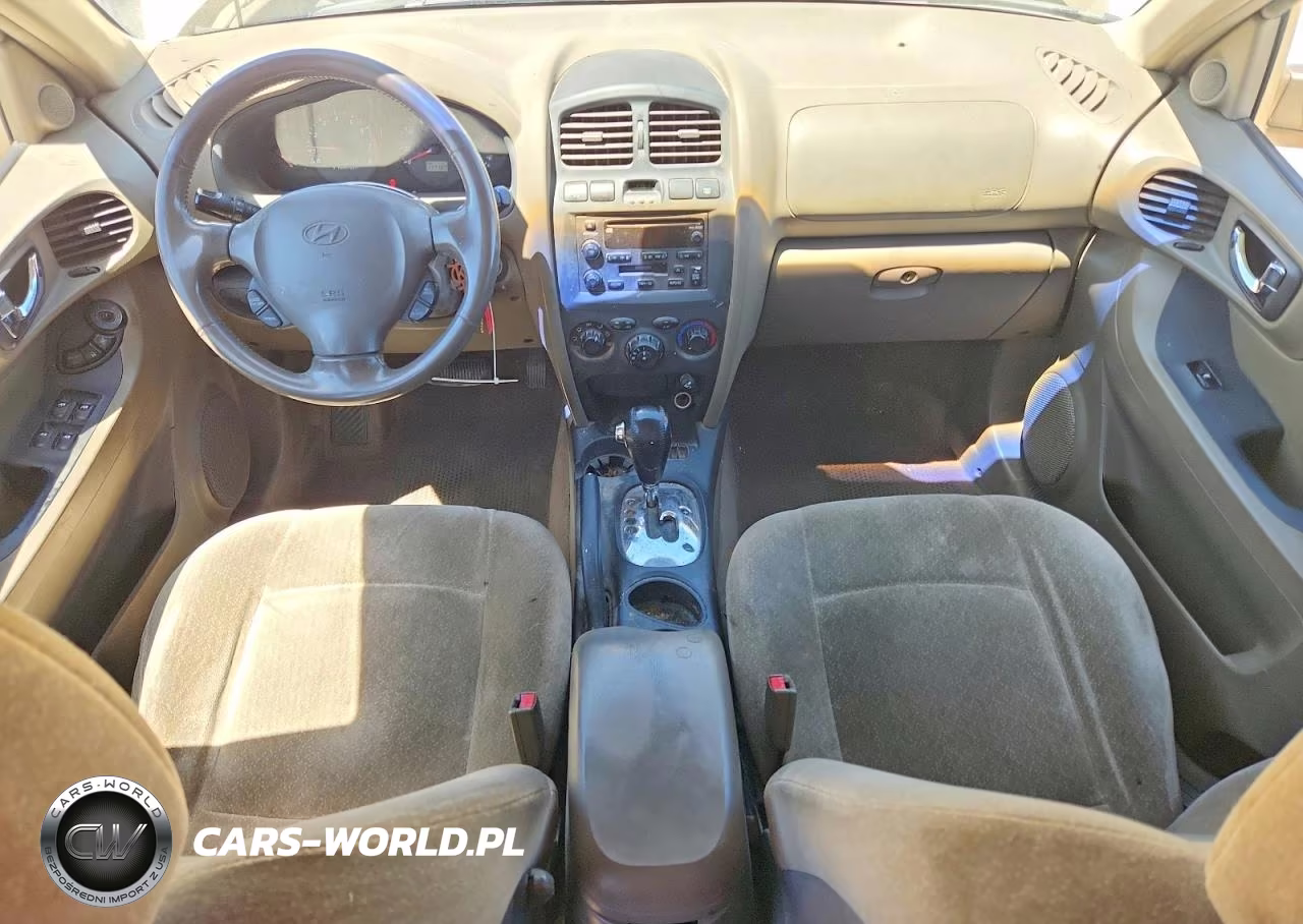 2004 Hyundai Santa Fe Gls VIN:KM8SC73DX4U728314 - 8