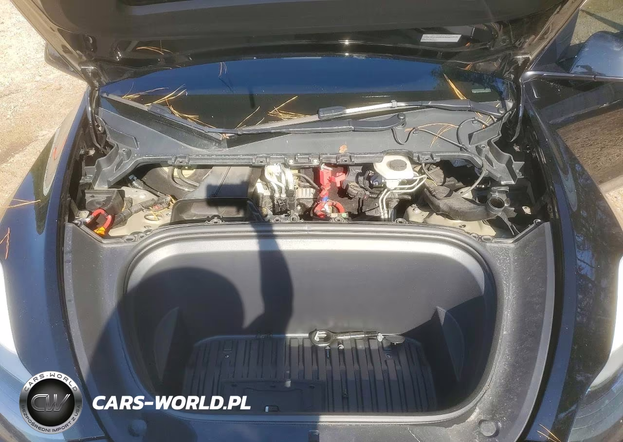 2023 Tesla Model Y VIN:7SAYGDEE3PF594270 - 11