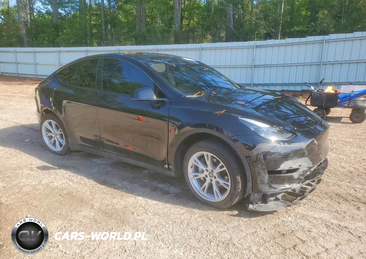 2023 Tesla Model Y VIN:7SAYGDEE3PF594270 - 4