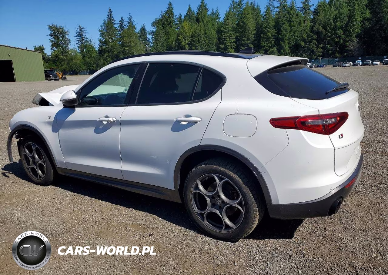 2022 Alfa Romeo Stelvio Ti VIN:ZASPAKBN8N7D29356 - 2