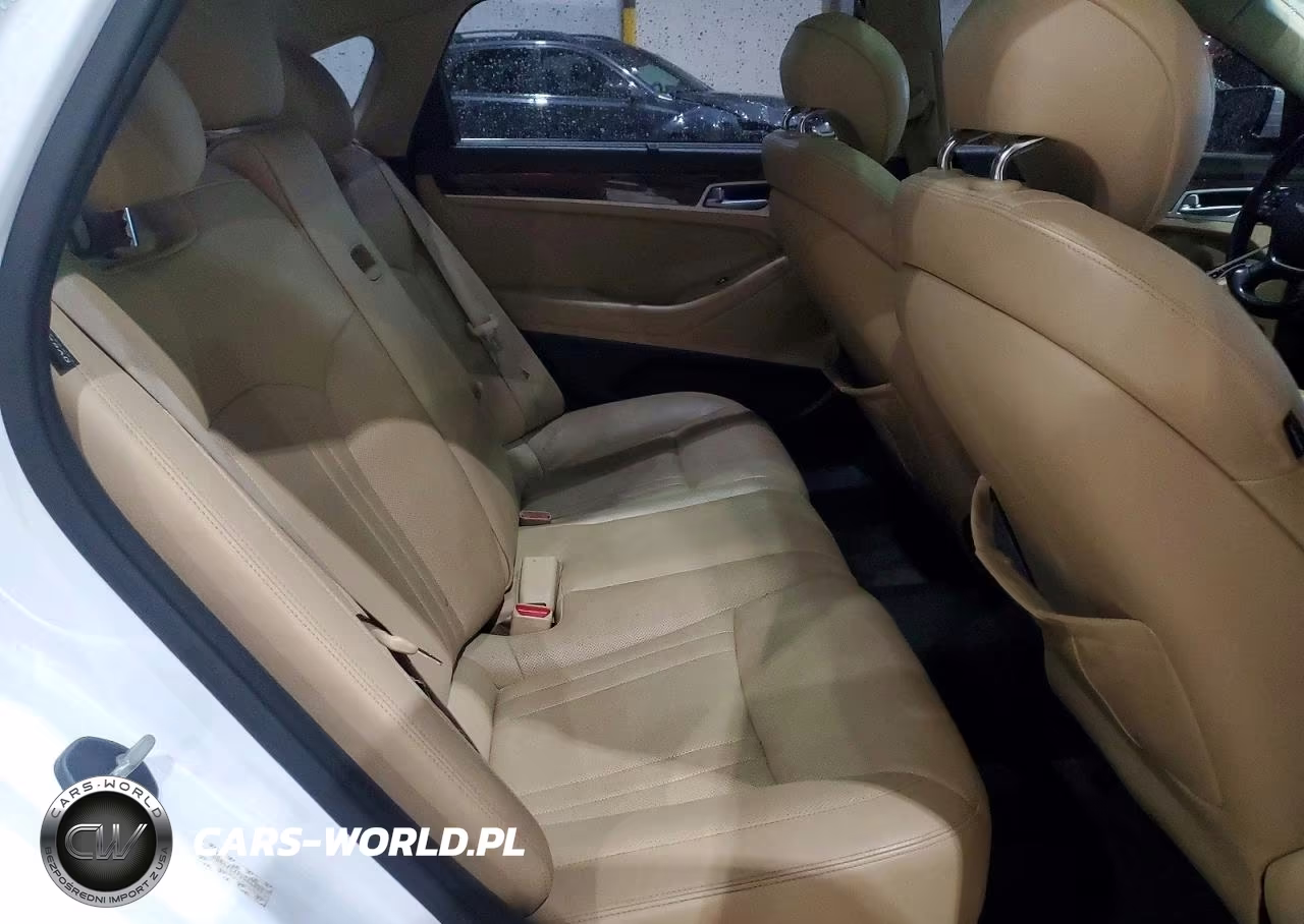 2015 Hyundai Genesis 3.8L VIN:KMHGN4JEXFU044635 - 10