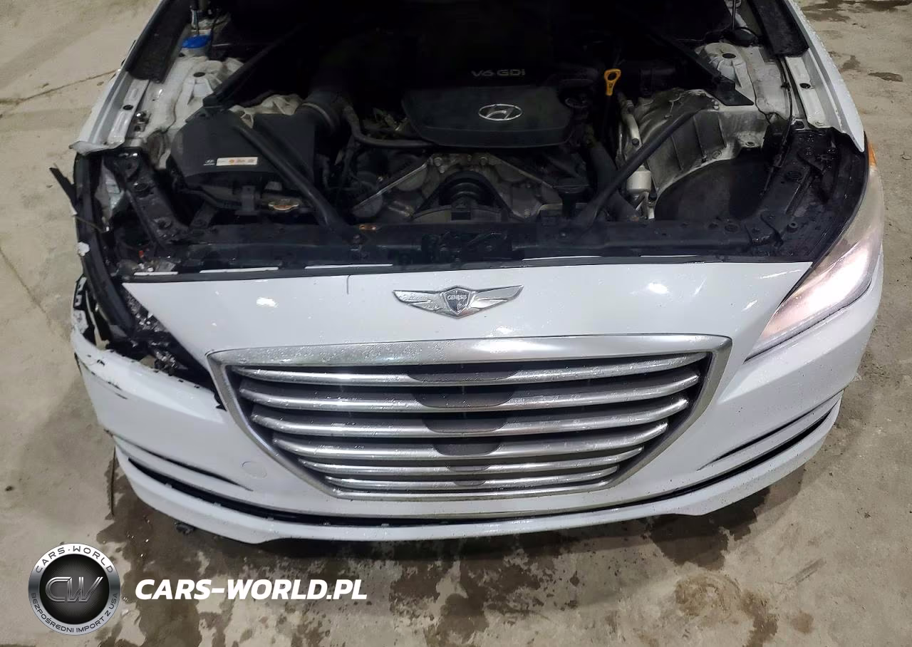 2015 Hyundai Genesis 3.8L VIN:KMHGN4JEXFU044635 - 11