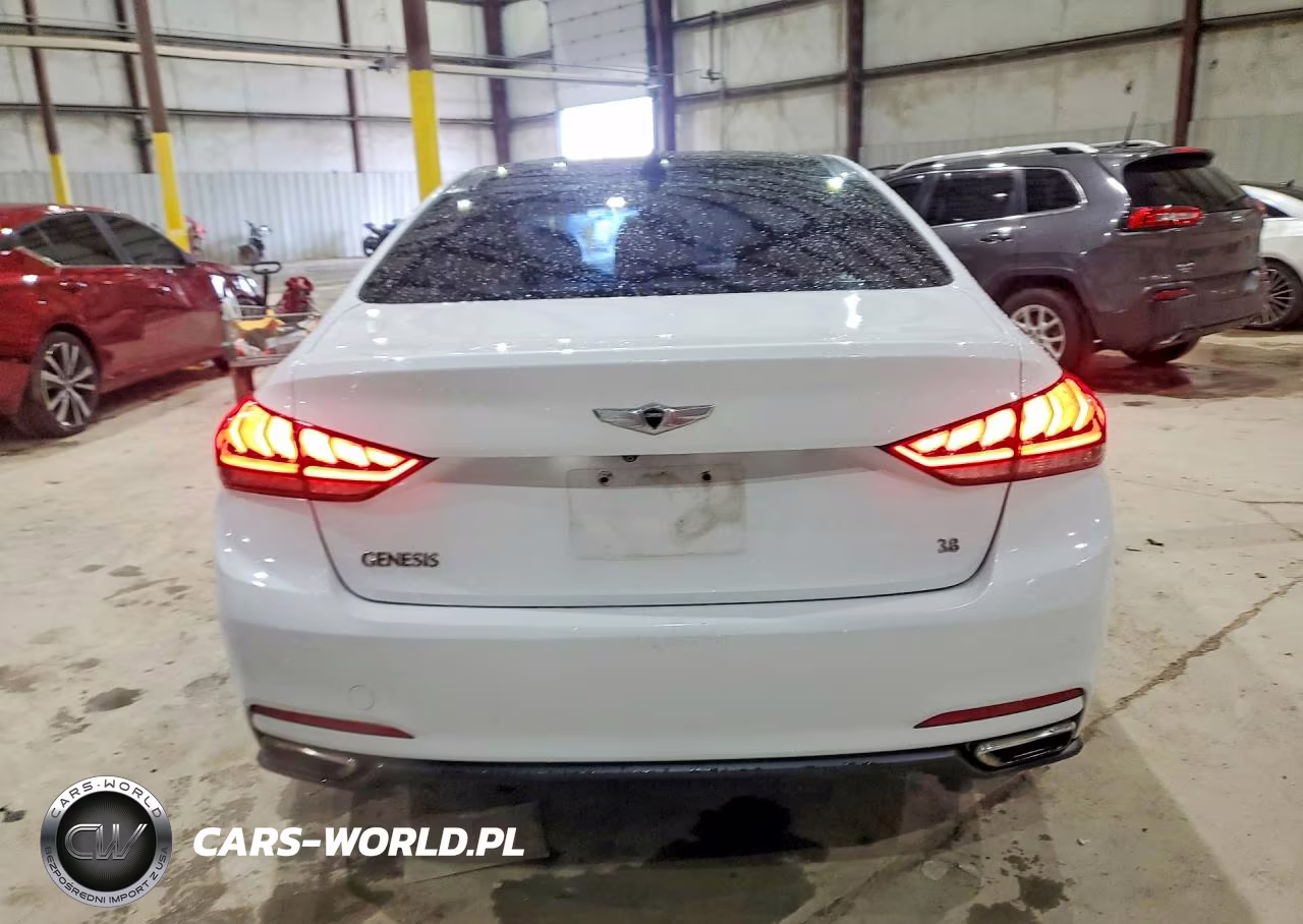 2015 Hyundai Genesis 3.8L VIN:KMHGN4JEXFU044635 - 6