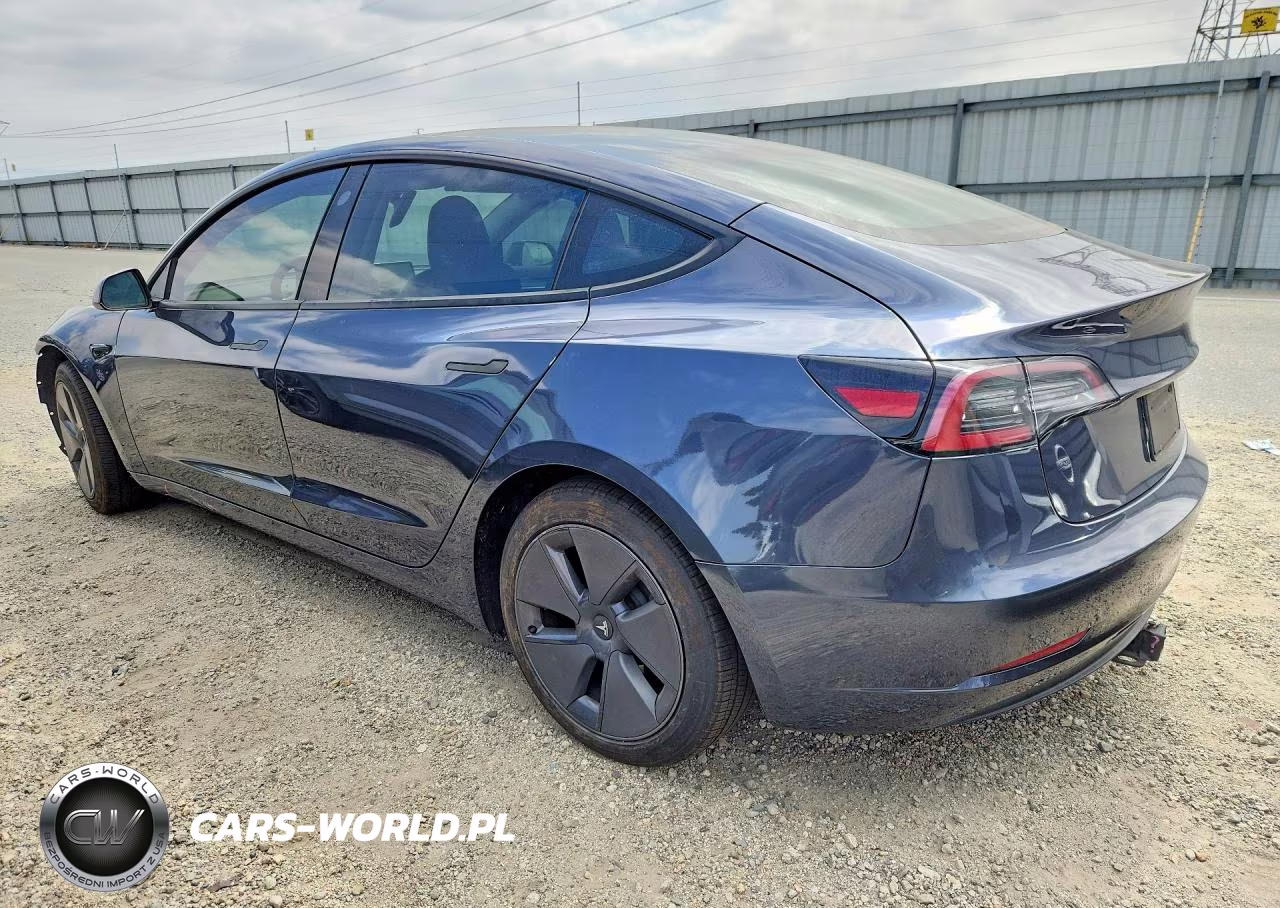 2023 Tesla Model 3 VIN:5YJ3E1EA7PF503350 - 2