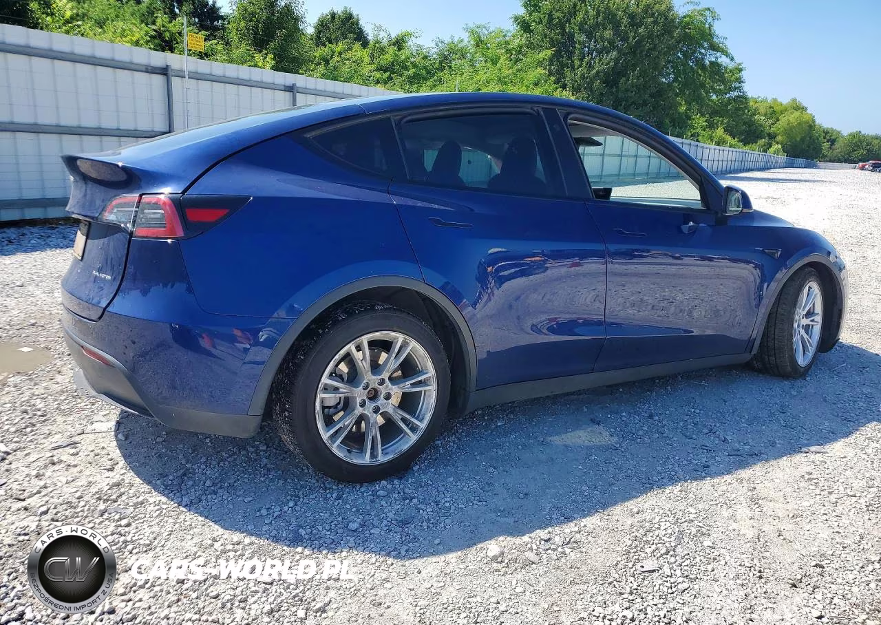 2023 Tesla Model Y VIN:7SAYGAEE9PF769748 - 3