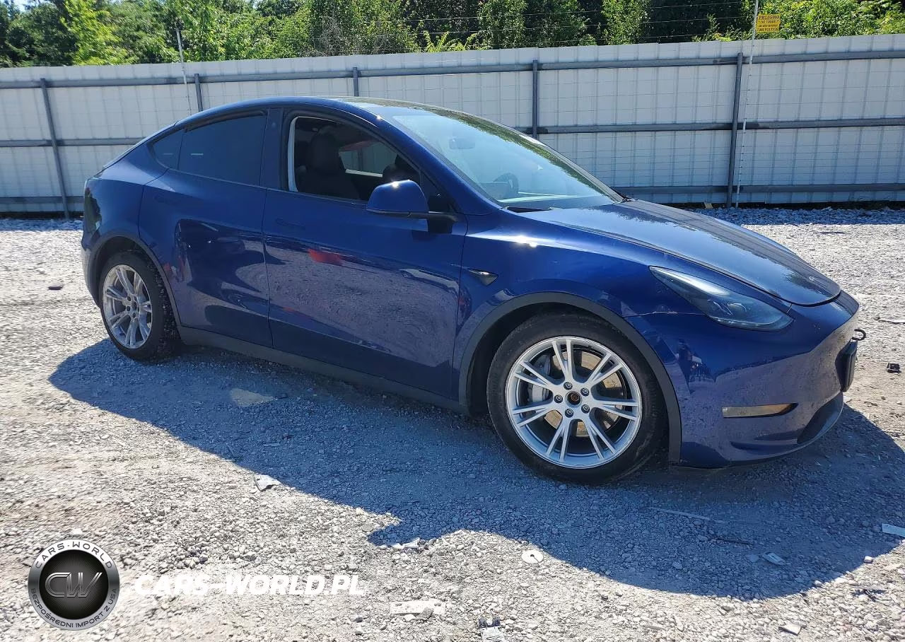 2023 Tesla Model Y VIN:7SAYGAEE9PF769748 - 4