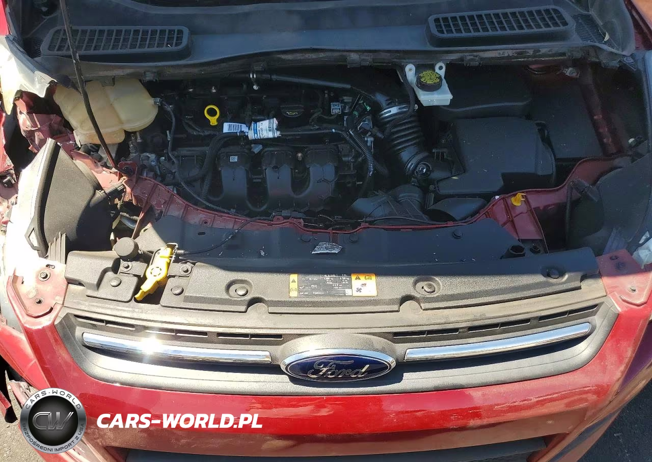 2014 Ford Escape Se VIN:1FMCU0G97EUE40881 - 11