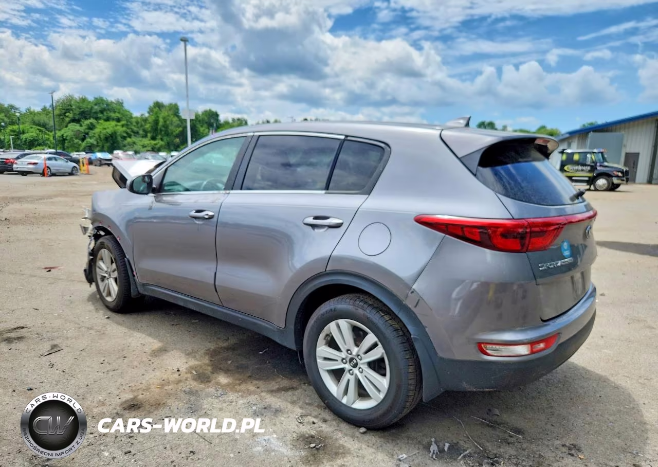 2017 Kia Sportage Lx VIN:KNDPM3AC3H7213993 - 2