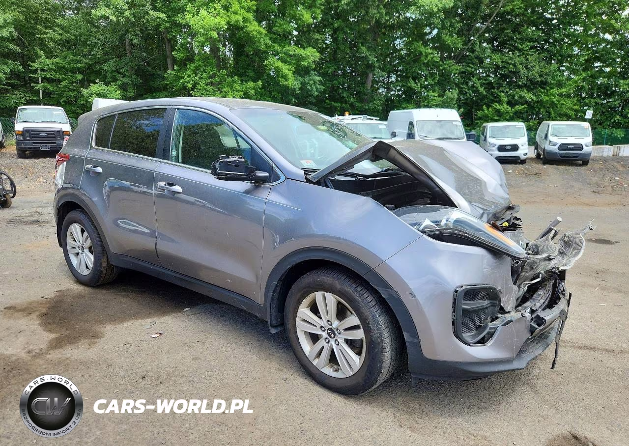 2017 Kia Sportage Lx VIN:KNDPM3AC3H7213993 - 4