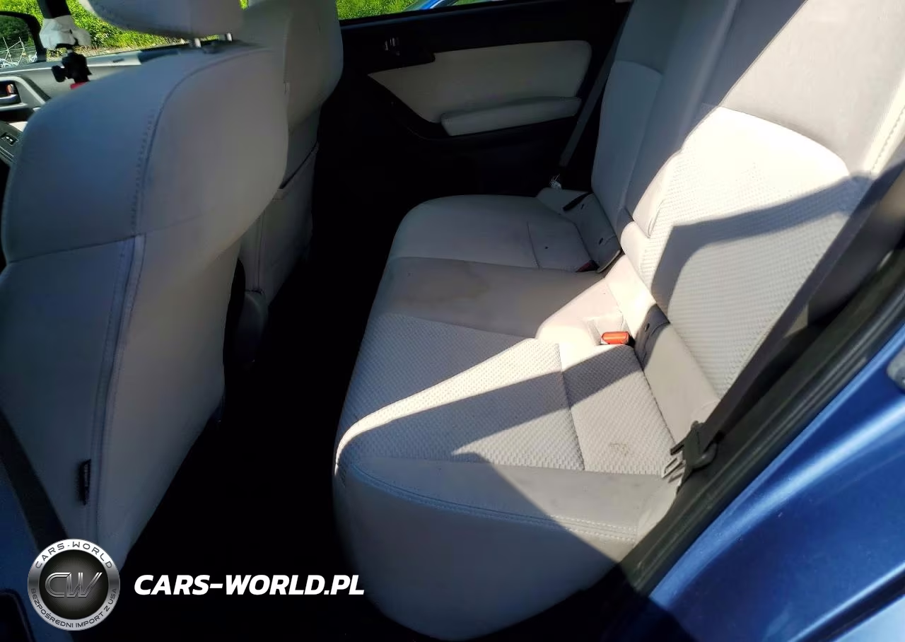 2016 Subaru Forester 2.5I Premium VIN:JF2SJAFCXGH447493 - 11