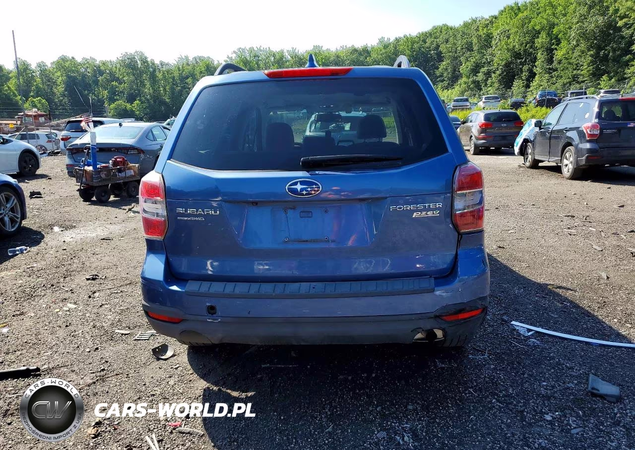 2016 Subaru Forester 2.5I Premium VIN:JF2SJAFCXGH447493 - 6