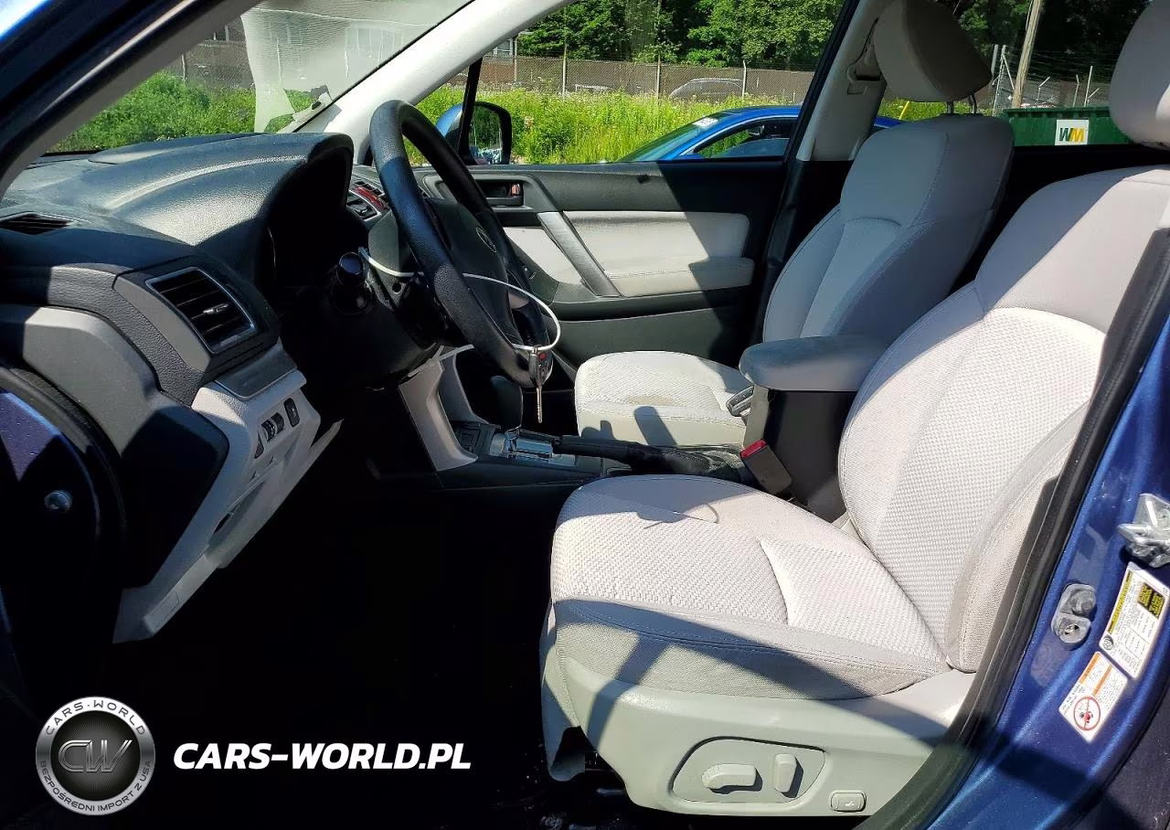 2016 Subaru Forester 2.5I Premium VIN:JF2SJAFCXGH447493 - 7