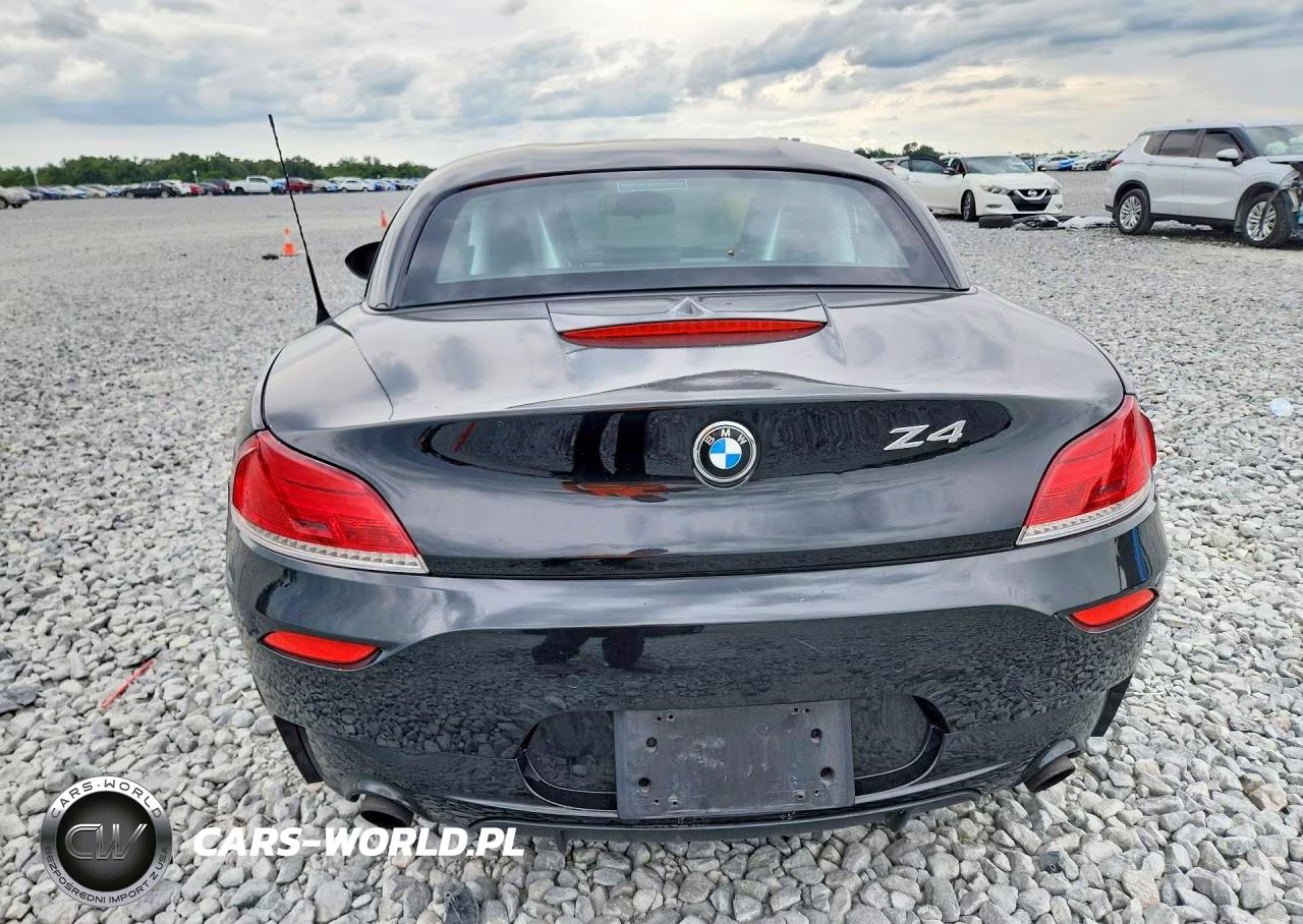 2013 BMW Z4 Sdrive35Is VIN:WBALM1C53DE633872 - 6