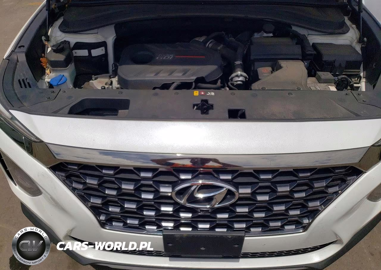 2020 Hyundai Santa Fe Limited 2.0T VIN:5NMS5CAA2LH287445 - 11