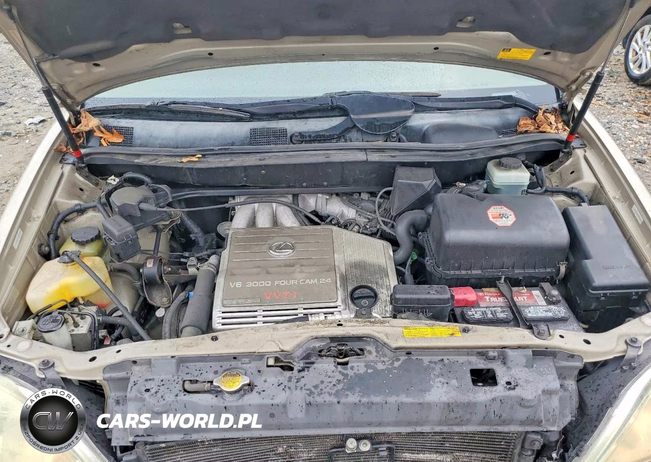 2003 Lexus Rx 300 VIN:JTJHF10U330293730 - 12