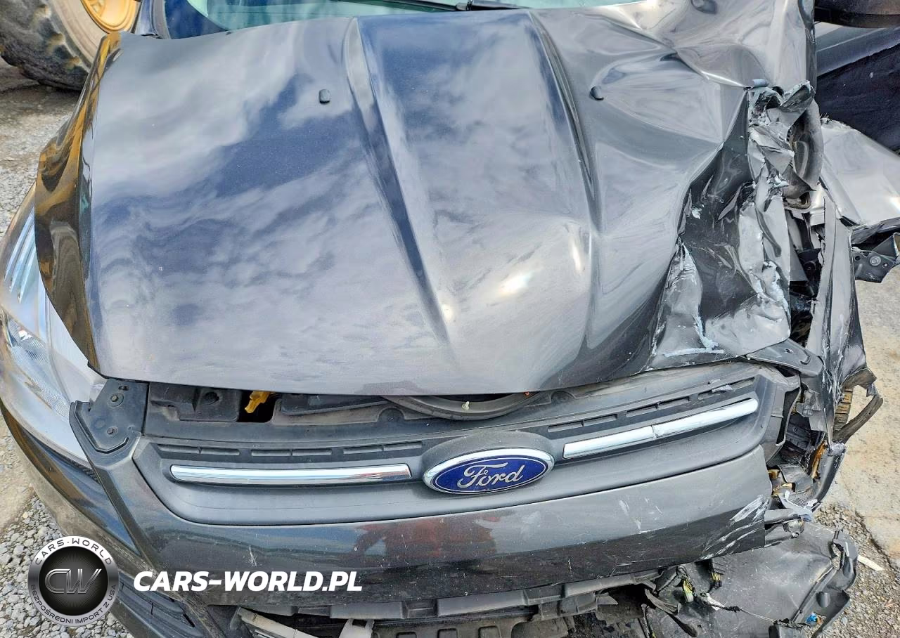 2015 Ford Escape Se VIN:1FMCU9G96FUC64833 - 12