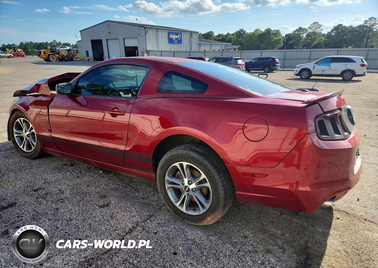 2014 Ford Mustang VIN:1ZVBP8AM1E5295072 - 2