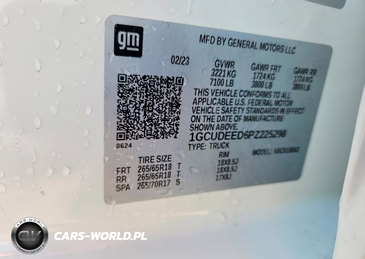 2023 Chevrolet Silverado K1500 Rst VIN:1GCUDEED6PZ225298 - 13