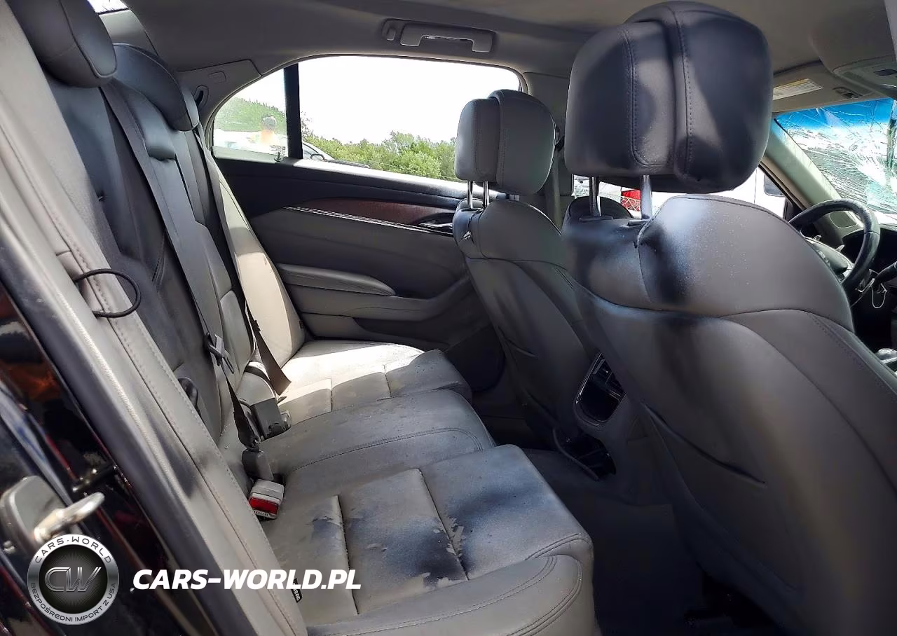 2014 Cadillac Cts VIN:1G6AP5SX5E0192260 - 10