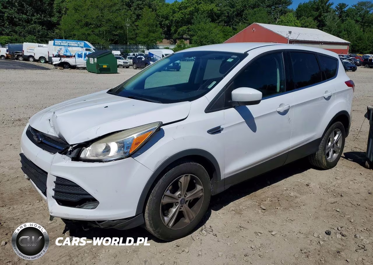 2014 Ford Escape Se