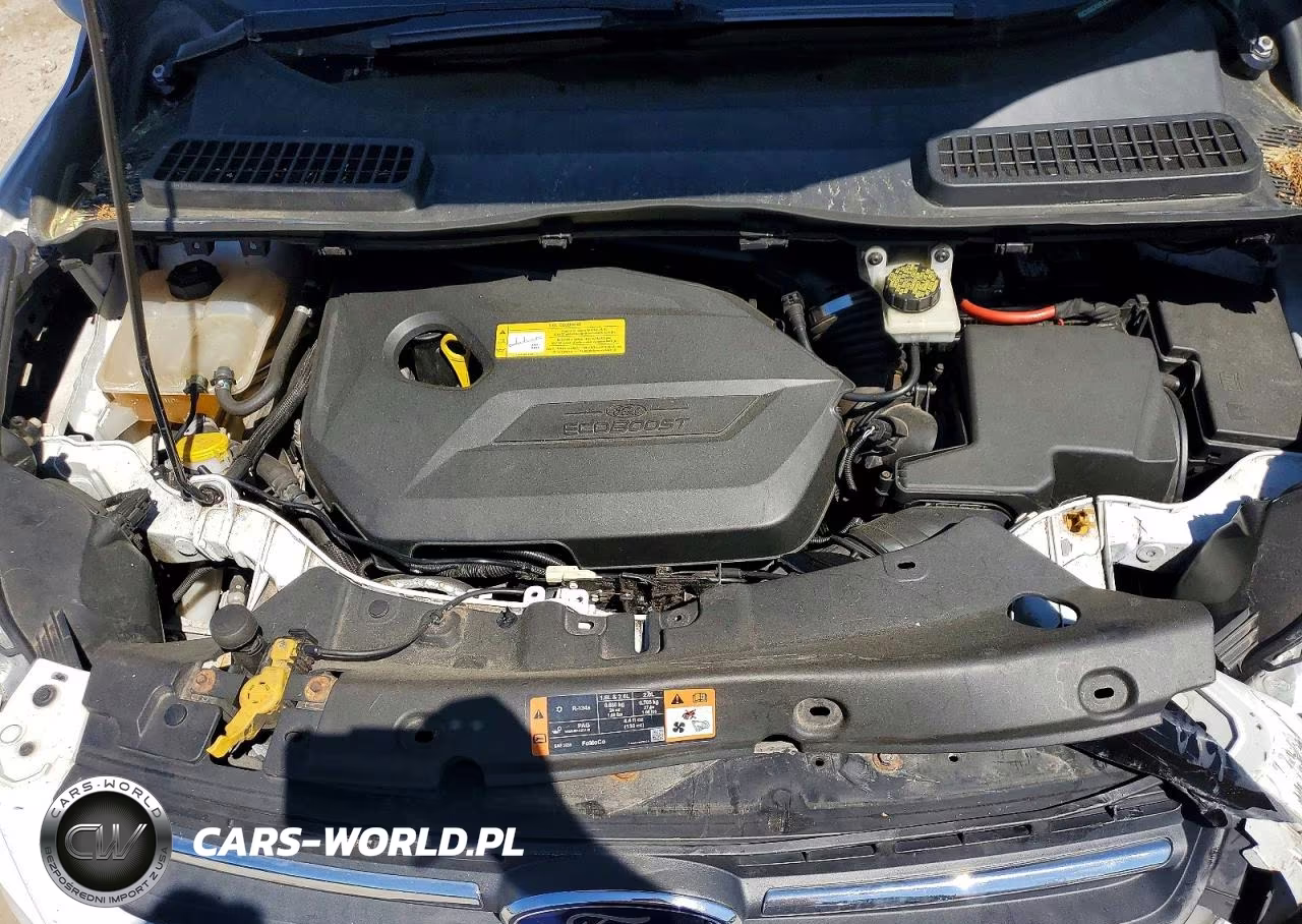 2014 Ford Escape Se VIN:1FMCU0GX9EUC69419 - 12