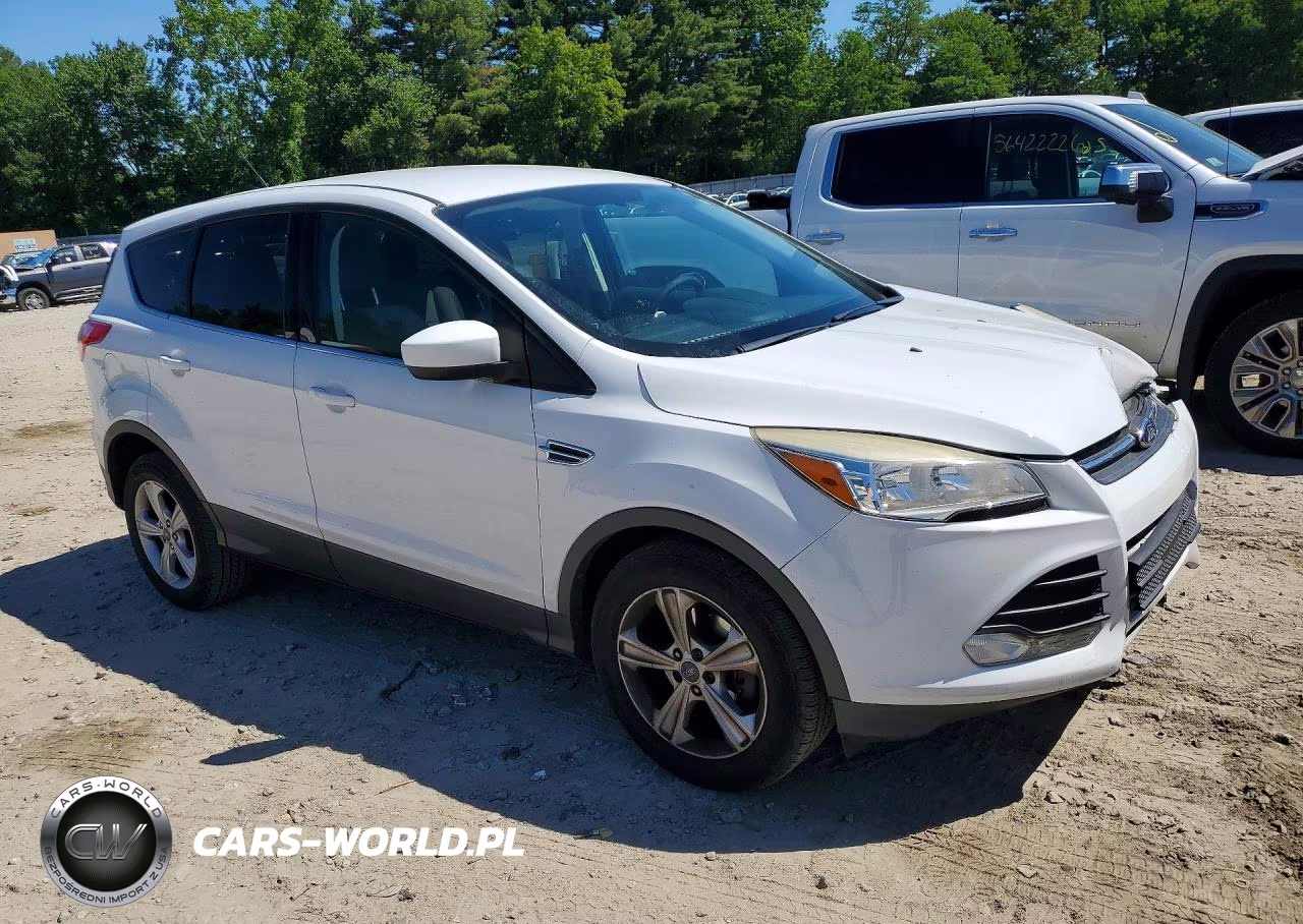 2014 Ford Escape Se VIN:1FMCU0GX9EUC69419 - 4