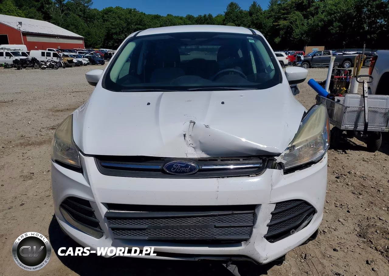 2014 Ford Escape Se VIN:1FMCU0GX9EUC69419 - 5